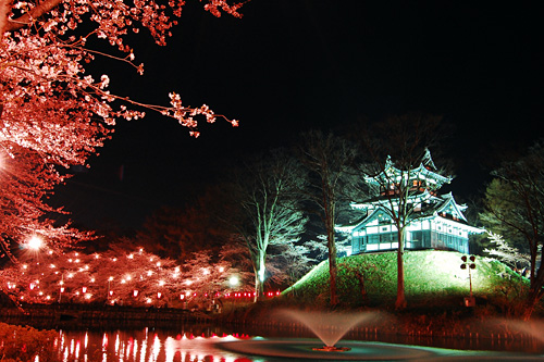 内堀の噴水と夜桜と高田城三重櫓
