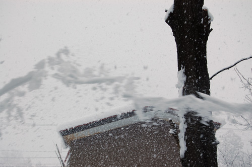 雪が飛ばされていきます