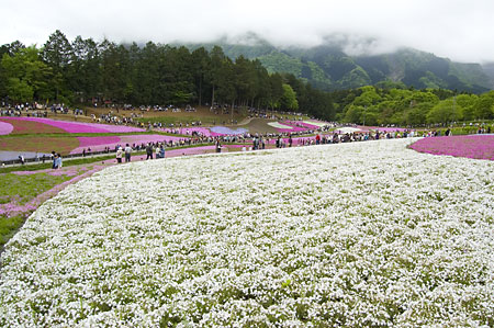 武甲山