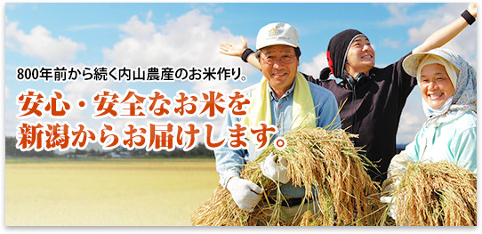 800年前から続く内山農産のお米作り。安心・安全なお米を新潟からお届けします。