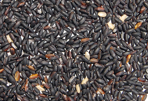 <わけあり・無選別>古代米・黒米「さよむらさき」アップ画像